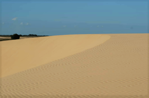 Los Médanos de la Soledad