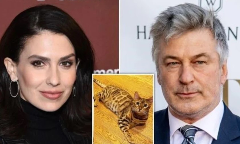 El gato de Alec Baldwin fue hallado con una pata rota tras haber desaparecido