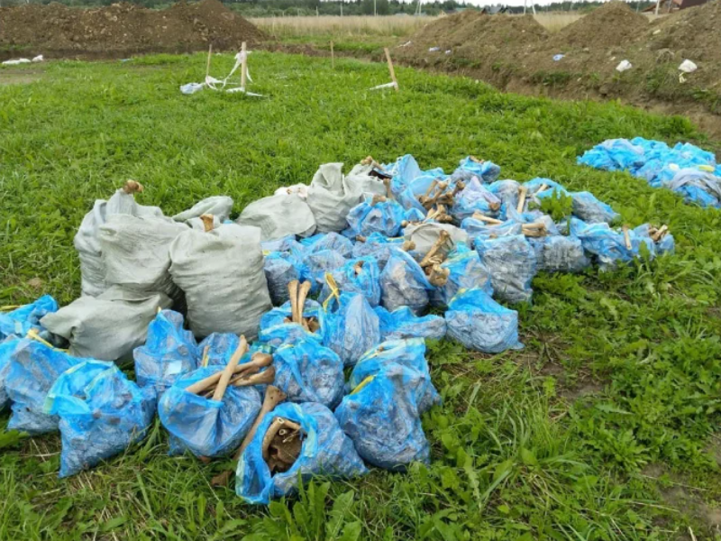 La horrorosa fosa con cadáveres de bebés cuya sangre fue drenada para salvar a soldados nazis (FOTOS)