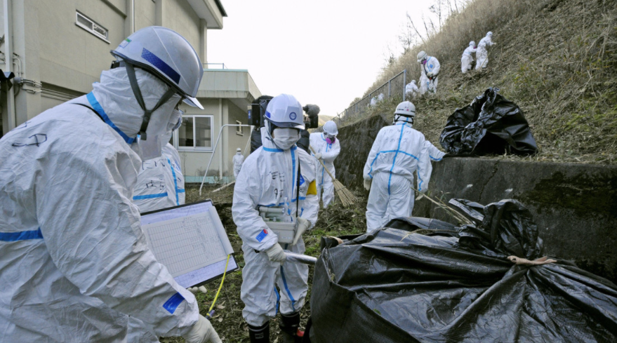 Aldeanos japoneses vuelven a sus hogares 10 años después de ser evacuados tras el accidente nuclear de Fukushima (VIDEO)