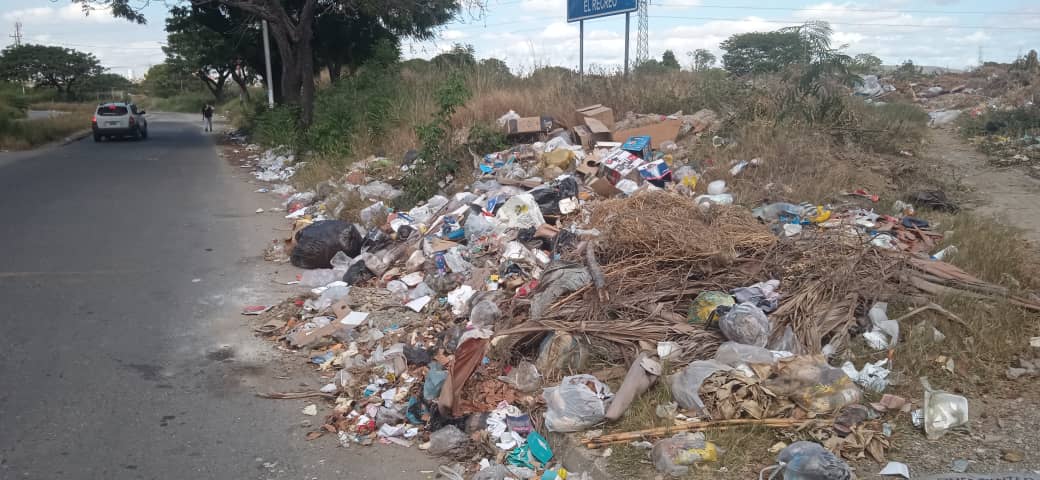 En Cabudare terminan el año entre ratas, moscas y gusanos: la alcaldía chavista nada hace por recoger la basura