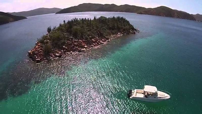 Parque Nacional Mochima ha sido colonizado por el coral invasor Unomia