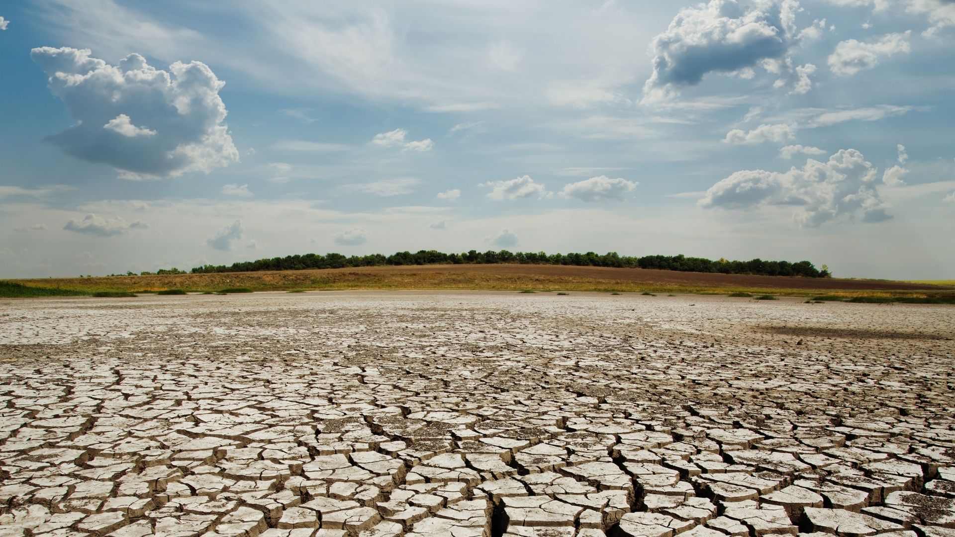 ¡Sequía histórica! Californianos se enfrentan a la reducción del consumo de agua