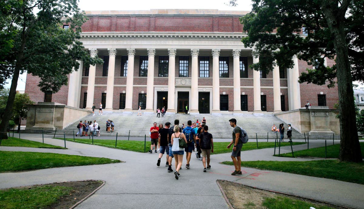 Toma nota: indocumentados en EEUU pueden aplicar para esta beca universitaria (Requisitos)