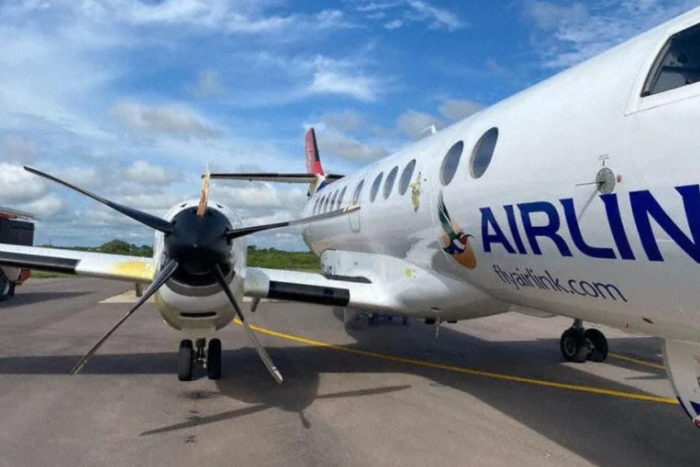 Un avión chocó contra un ave gigante: no dejó heridos, ni muertos pero el pájaro causó graves daños a la aeronave