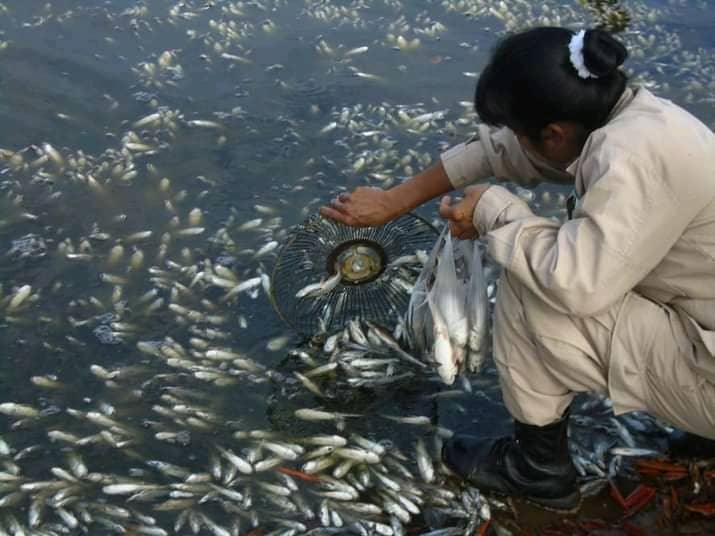 Pescadores artesanales de Puerto Píritu exigen cierre definitivo de camaronera tras riesgo ecológico