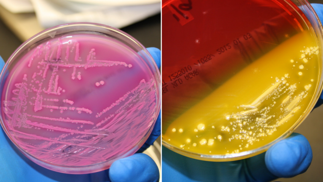 Crearon una tinta “viva” de impresión 3D que podría curar el cáncer y construir edificios en Marte