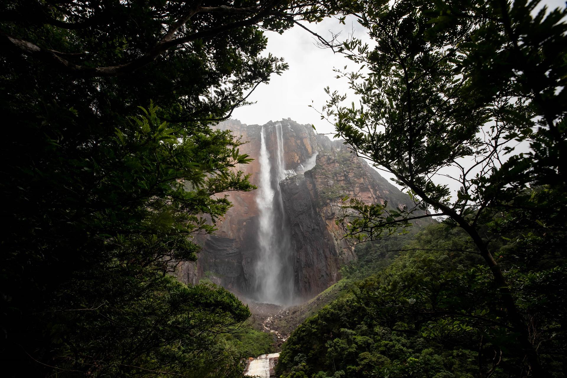 Daños al Parque Nacional Canaima por minería ilegal se han duplicado desde el 2015, alerta ONG