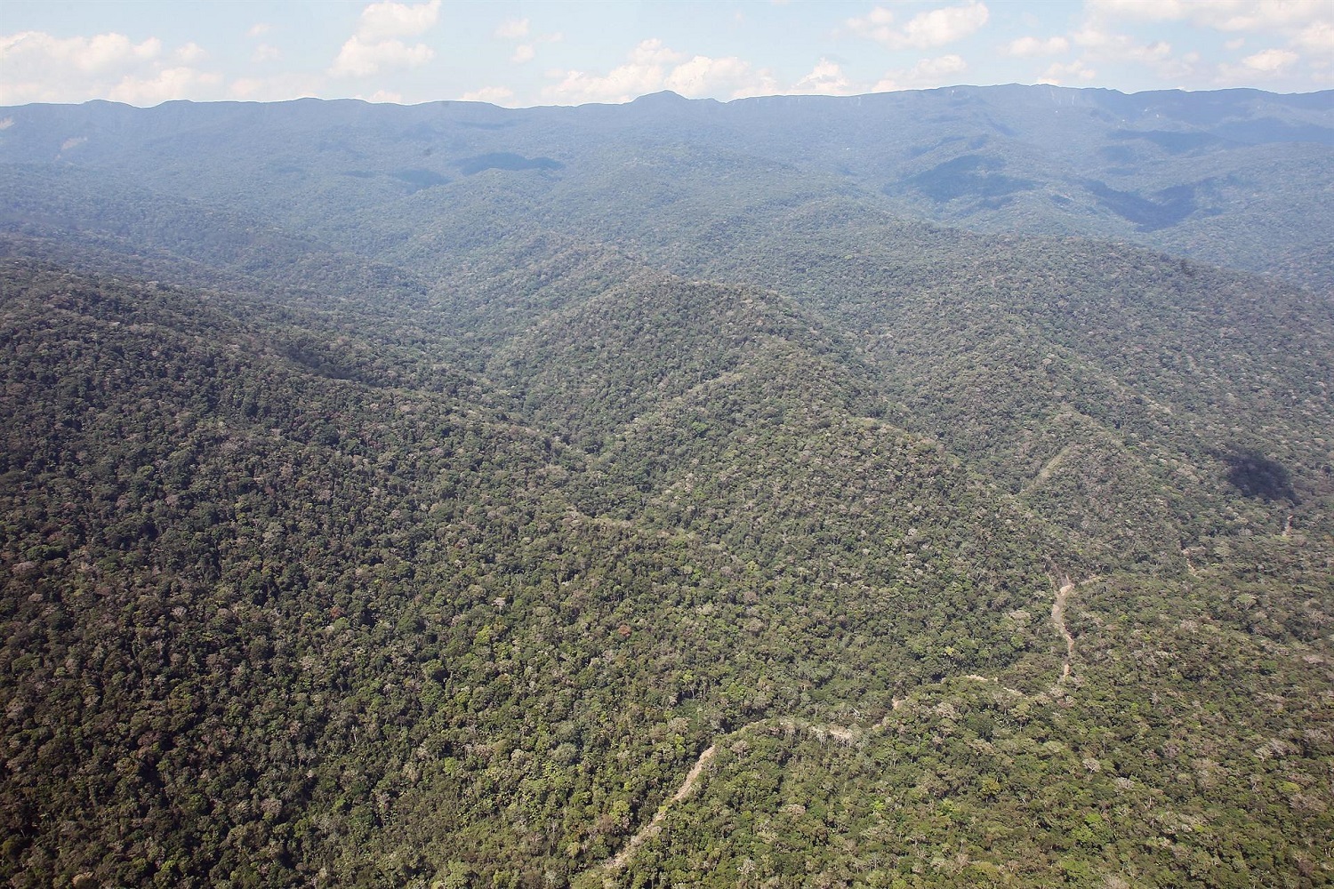 Denuncian minería ilegal en el parque Madidi de Bolivia, la reserva con más biodiversidad del mundo (Fotos)