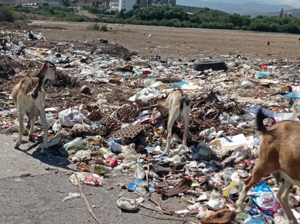 Insalubridad tiene a vecinos de San Luis en Cumaná padeciendo de sarna, amibiasis y problemas respiratorios