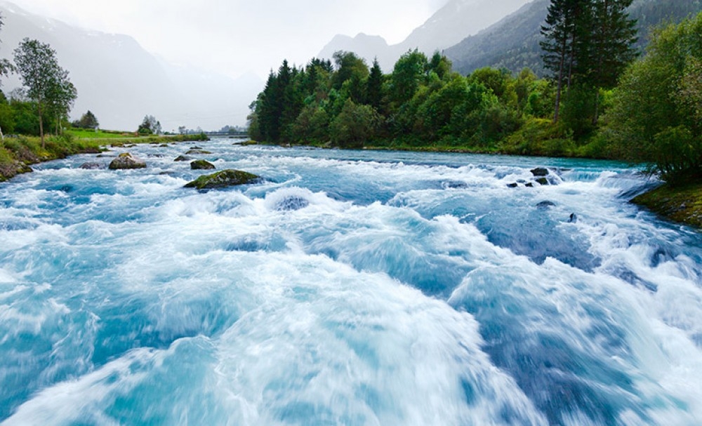 Este #14Mar se celebra el Día Mundial de los Ríos, en defensa del agua y la vida