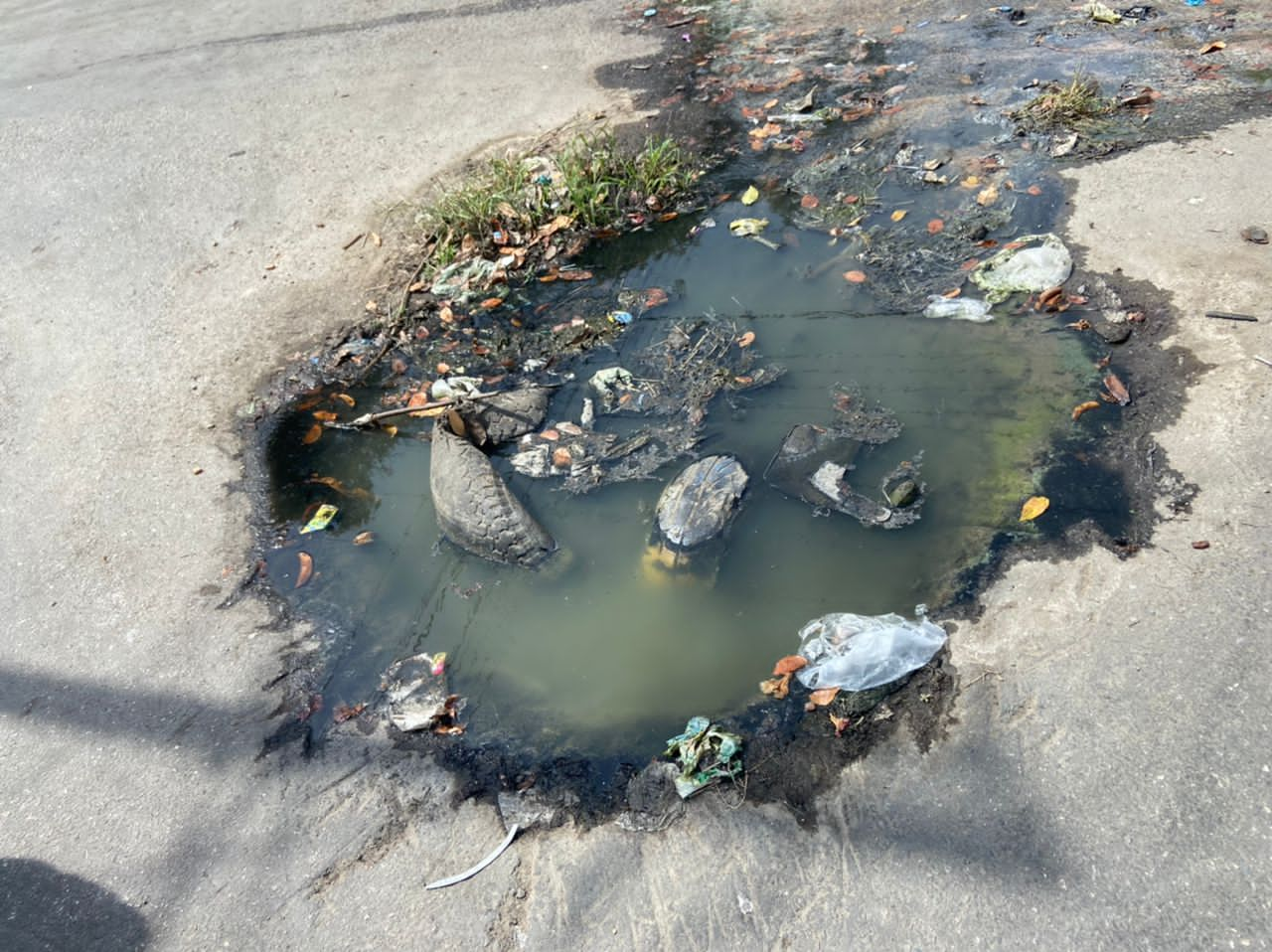 El agua de Los Cocos de Maracay sale “piche”: casi 50 familias afectadas