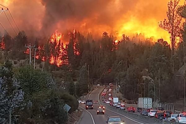 Chile: un incendio forestal cerca de Valparaíso ya arrasó con más de 300 hectáreas y amenaza a zonas pobladas