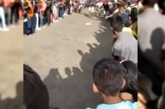 Imputaron a un sujeto que organizó una terrible “carrera de gatos” en Barinas