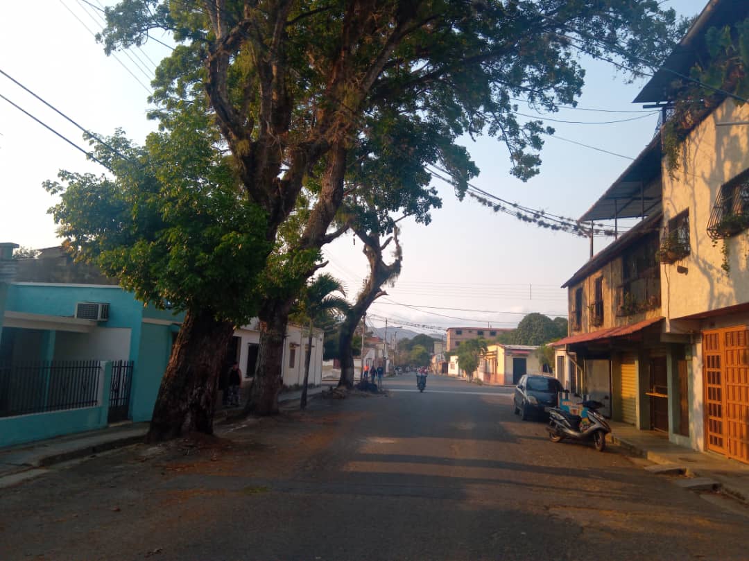 Vecinos de Bejuma claman por apoyo gubernamental ante árboles que están destruyendo sus casas