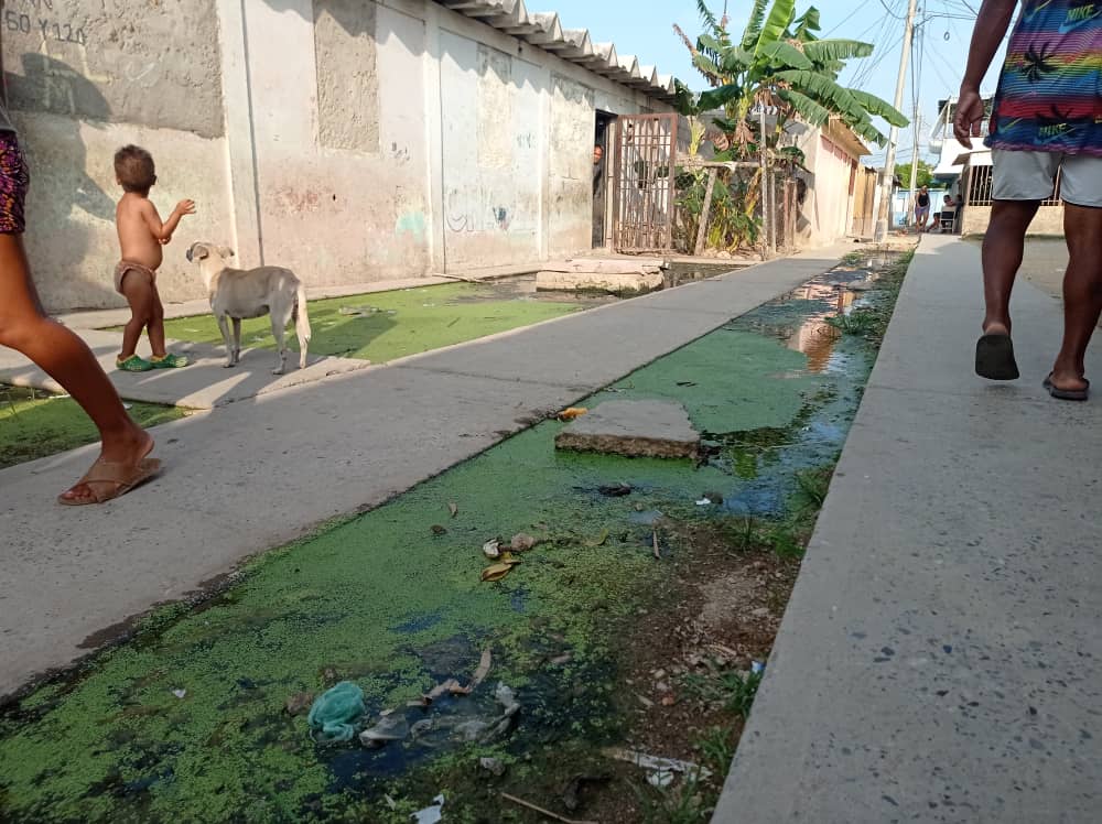 “Solo vienen a buscar votos”: Vecinos de San Luis en Cumaná tienen más de dos años viviendo entre aguas negras