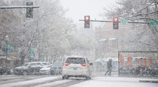 Tormentas continúan azotando EEUU: Ventisca extrema enterró a siete caballos en la nieve