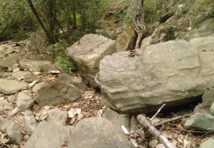 Invasión promovida por el chavismo está secando el Río Los Cajones en Carabobo