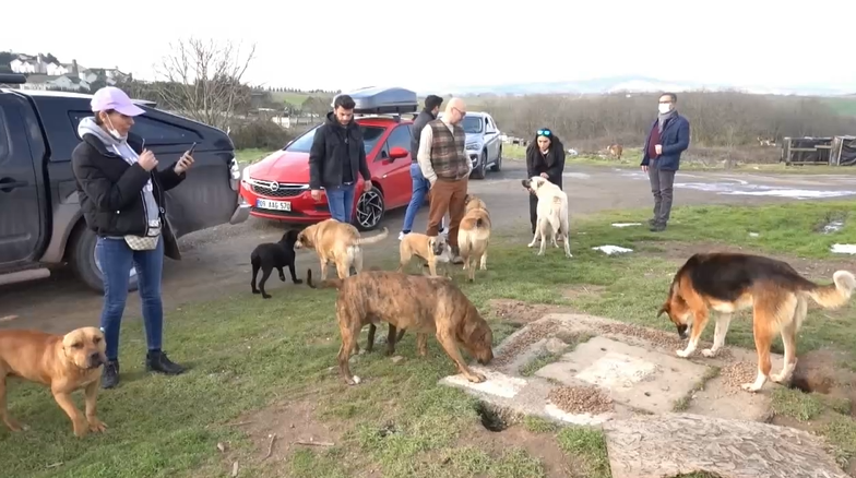 Empresario turco crea en su jardín un “arca de Noé” de animales abandonados