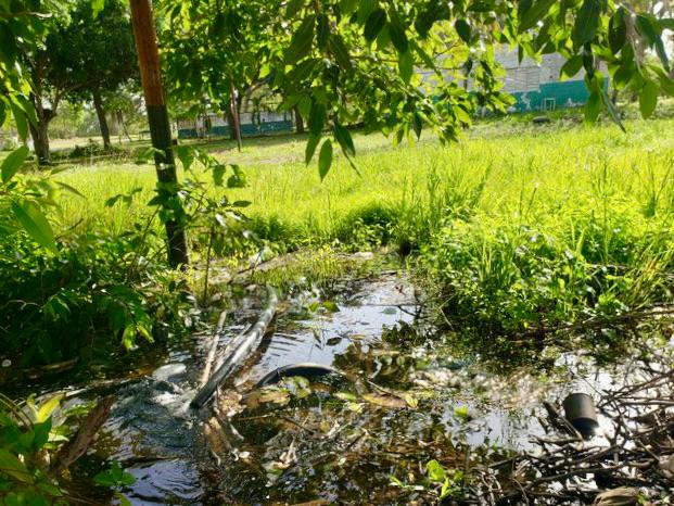 En Hidrobolívar se “hacen los locos” ante cientos de litros de agua que se pierden en el parque Loefling