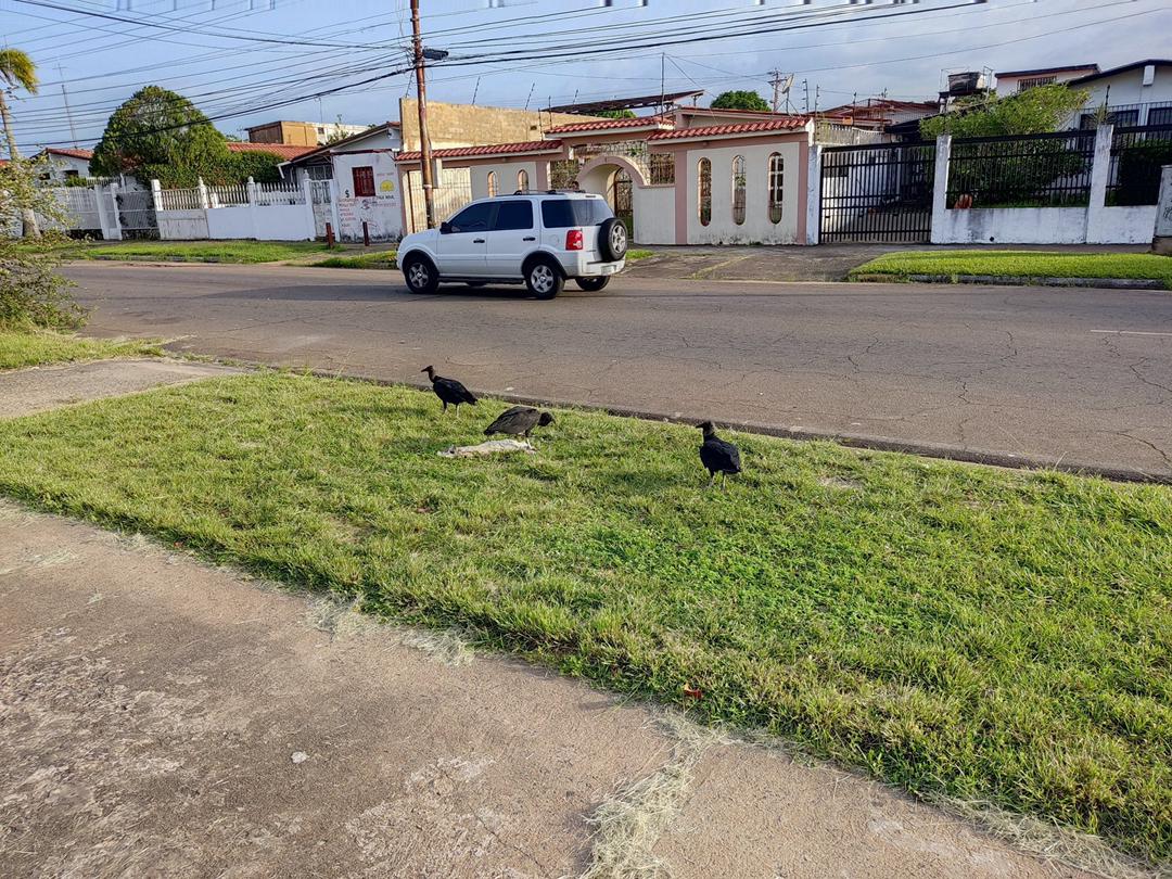 La quema de basura en comunidades de Puerto Ordaz, una práctica cada vez más frecuente (FOTOS)