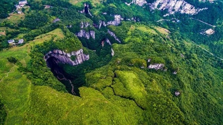 Descubren un gigantesco bosque en el interior de una montaña