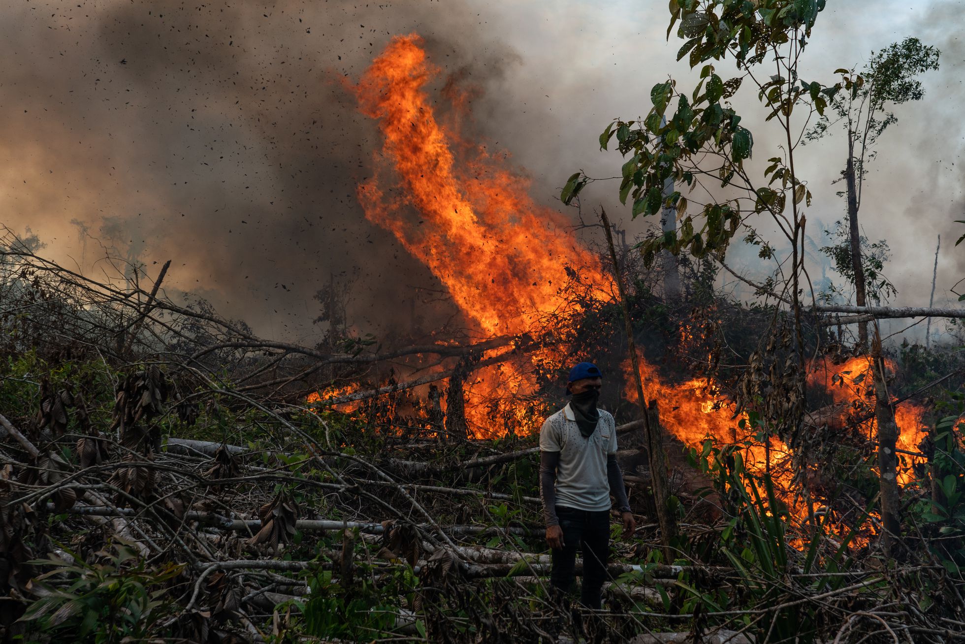 Petro planteó crear un fondo internacional para proteger la Amazonia colombiana