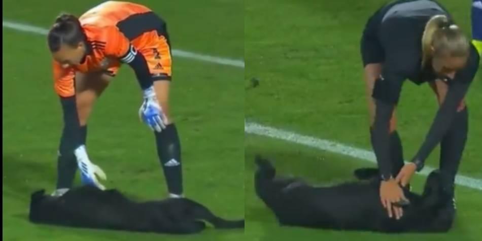 VIRAL: Perrito interrumpió amistoso de Chile y Venezuela para recibir cariño de las jugadoras (Video)