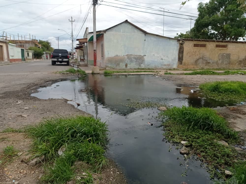 Chavismo “mira para otro lado” ante los ríos de cloacas que ahogan a los vecinos de Buena Vista en Cumaná