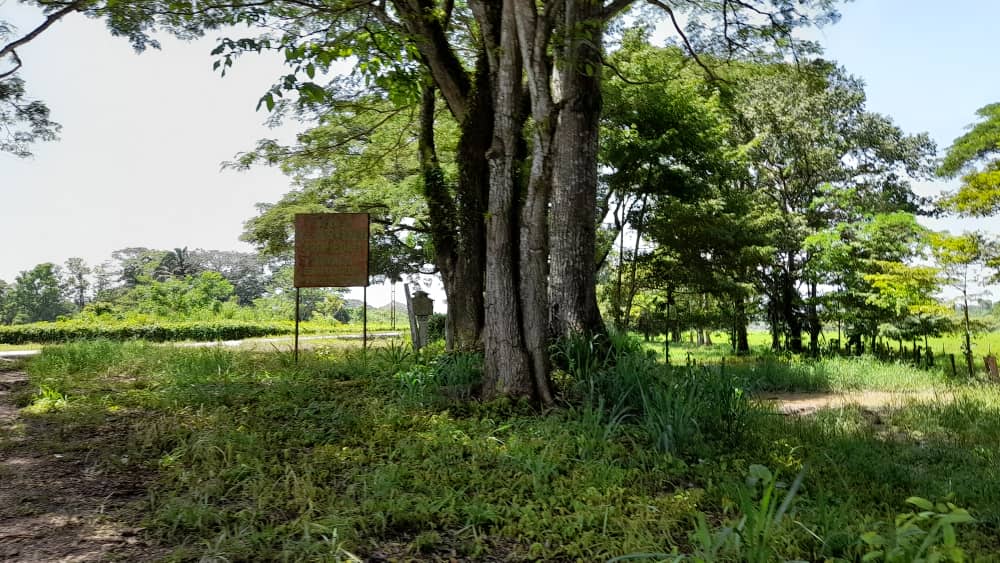 Familiares de transportistas contratados para trasladar ganado robado de la Finca El Porvenir exigen justicia 