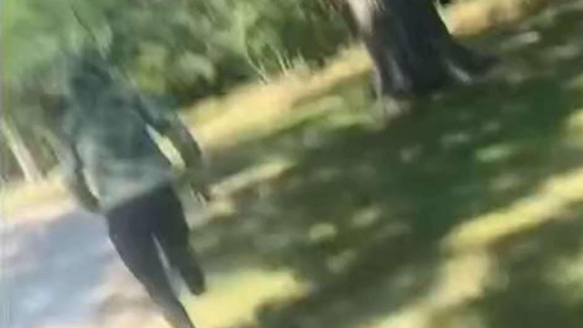 Impactante momento cuando mujer confronta a pervertido que la seguía y se daba placer en parque de EEUU