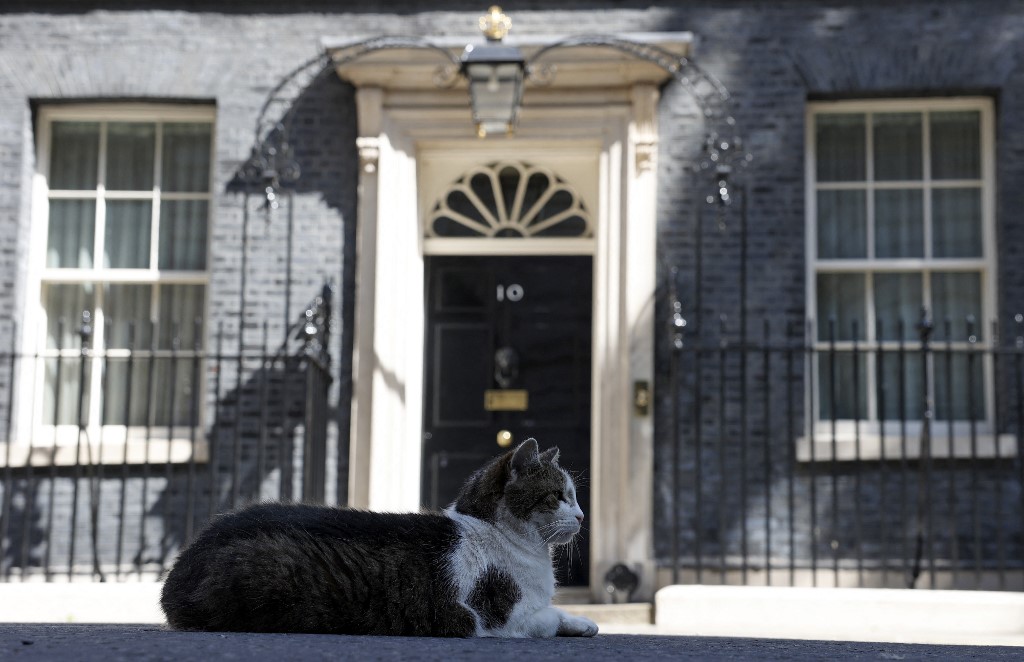 La carrera para suceder a Boris Johnson ya suma a ocho competidores