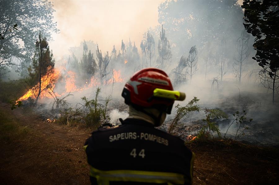 Los incendios en Burdeos no avanzan, pero ya han quemado más de 20 mil hectáreas de bosque de pinos