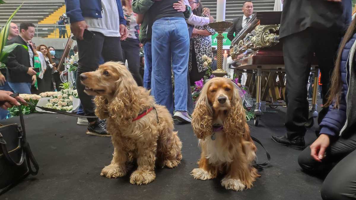 “Trajimos los perritos para que vieran que él se había muerto, no que los había abandonado”: Daniela habla de las mascotas de Darío Gómez