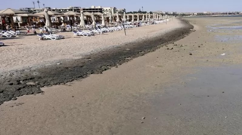 Egipto cerró sus playas en el mar Rojo luego de una serie de ataques de tiburones