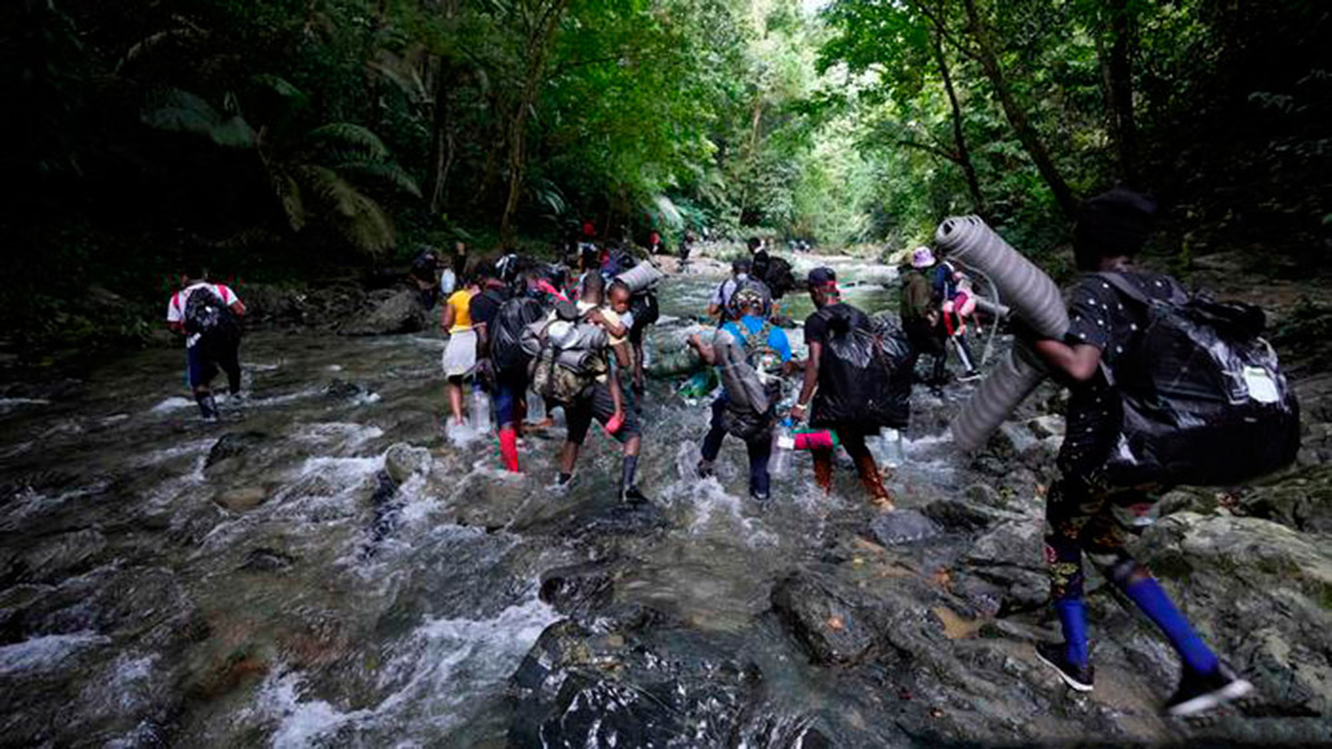 Denuncian que coyotes cobran más dinero a los venezolanos que transitan por la selva del Darién