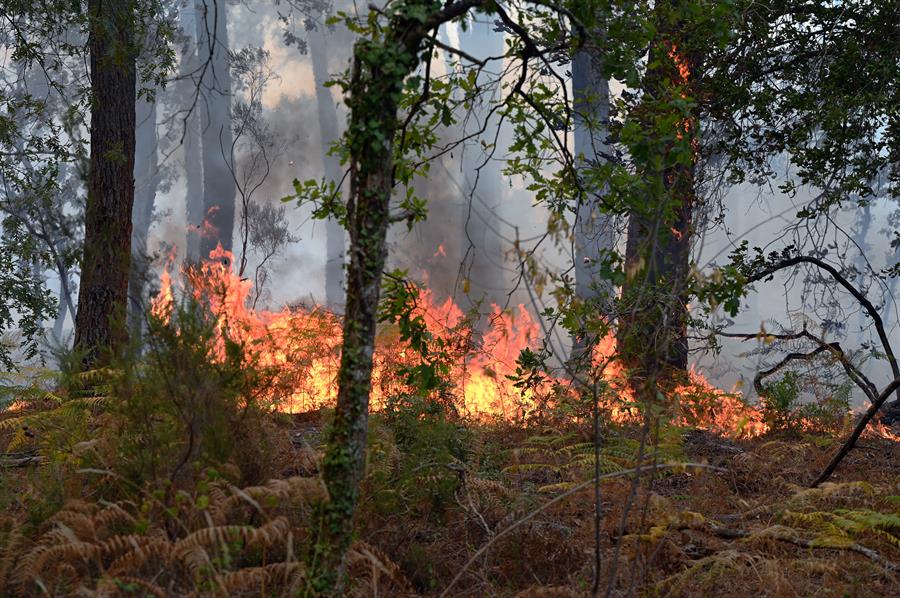 Francia se dispone a vivir otra dura jornada contra los incendios, bomberos luchan contra el fuego