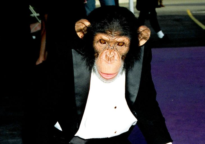 Chimpancé de Michael Jackson trató de suicidarse tras el arresto del cantante