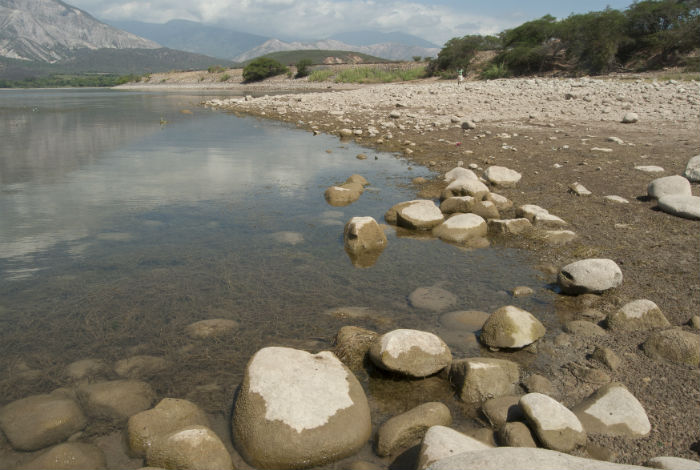 Especialistas denunciaron desastre ecológico en zona protectora del embalse Dos Cerritos