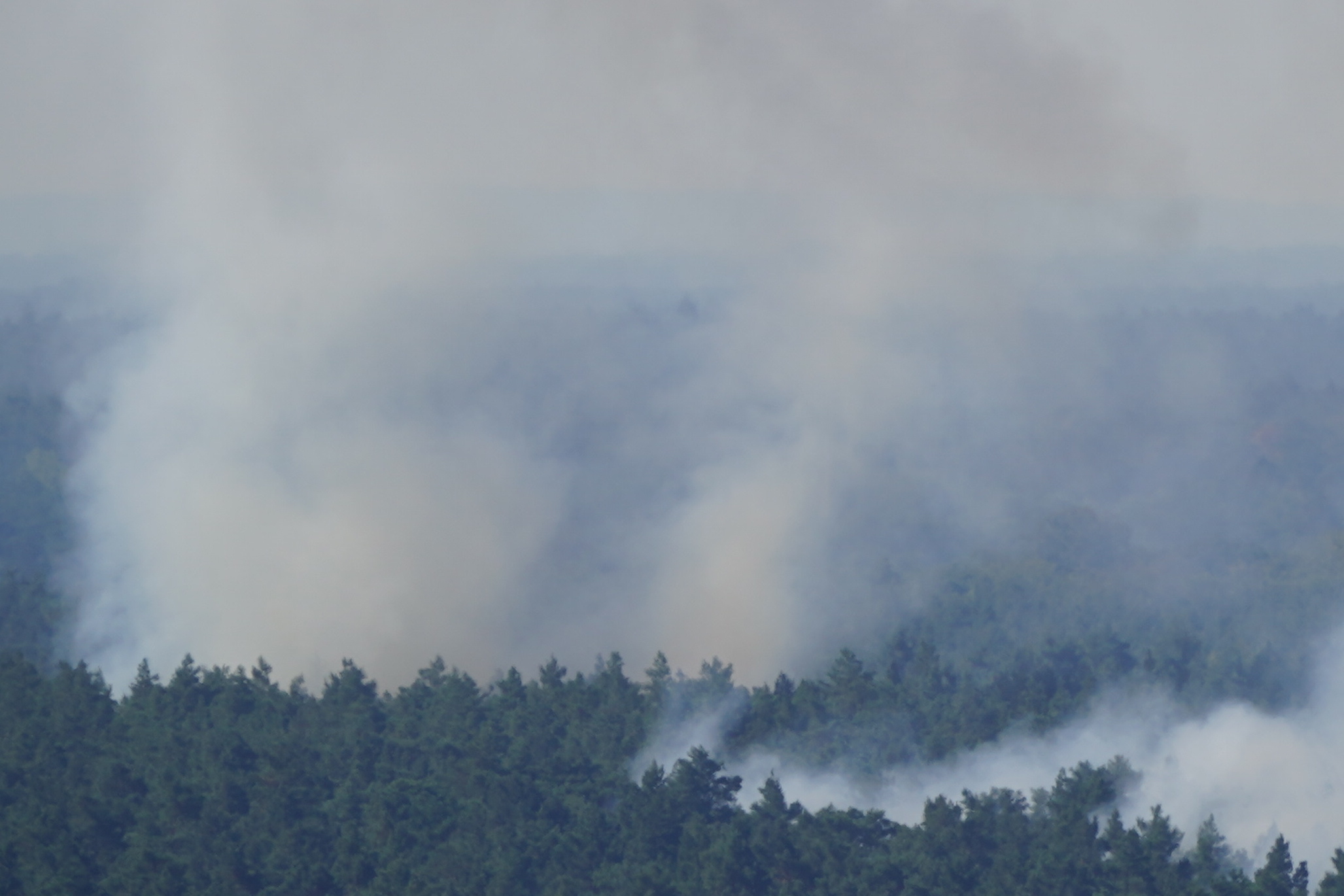 Fuego provocado por explosiones arde en un bosque en Berlín