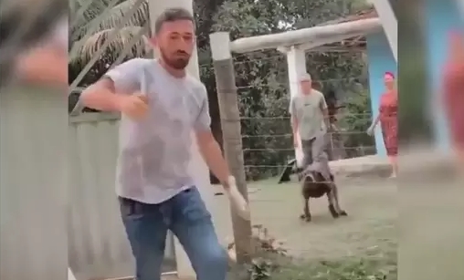 Firulais vengativo: Perro molesto persiguió al veterinario que lo vacunó (VIDEO)