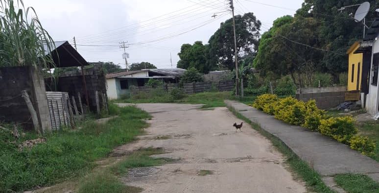 Calles de arena que lucen como “una boca de lobo” en Apure: Vecinos de El Mamón hartos de la desidia chavista