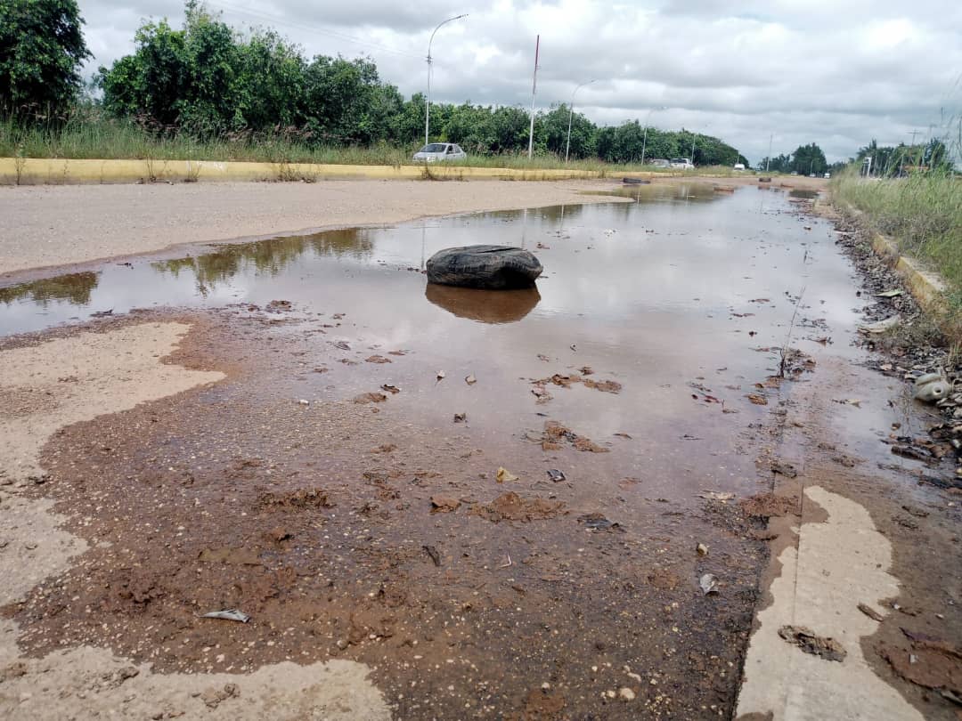 MOSCA si manejas por esta avenida de Anzoátegui… las troneras te podrían dejar sin carro (IMÁGENES)