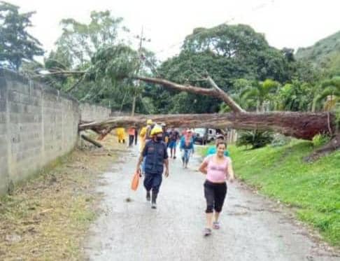 Sin esperanzas: En el sector Guayamure de Río Claro llevan más de 300 horas a oscuras