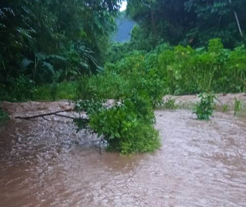 Ocumare de la Costa en alerta tras desbordamiento de un río este #1Nov (VIDEOS)