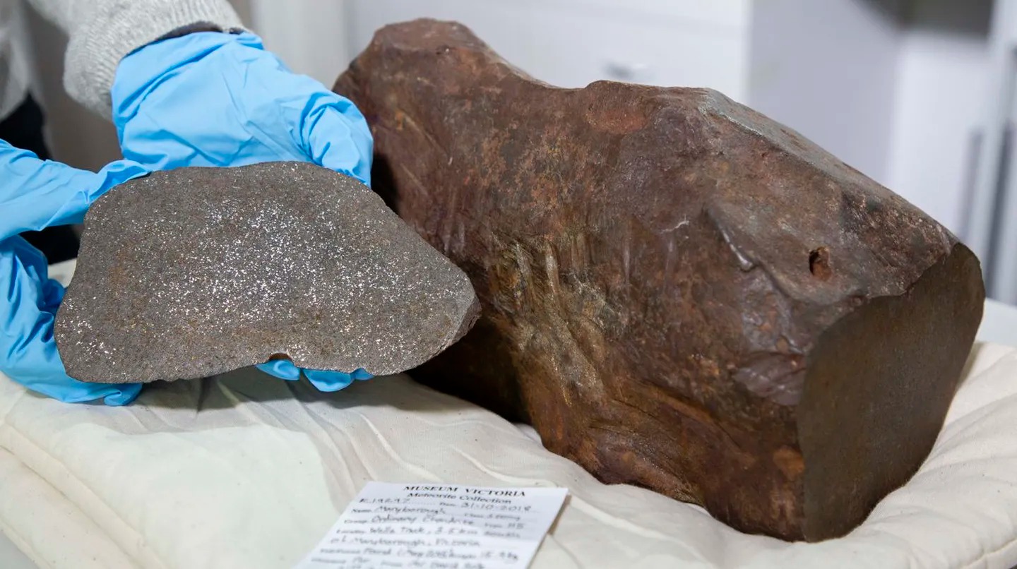 Encontró una piedra, creyó que era oro pero descubrió que es un meteorito de 4.600 millones de años