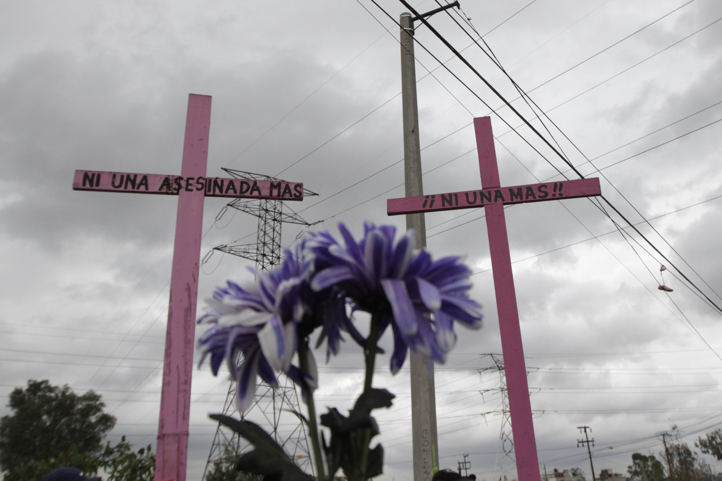 Feminicidio en México: una mujer fue quemada viva junto a sus mascotas dentro de su casa