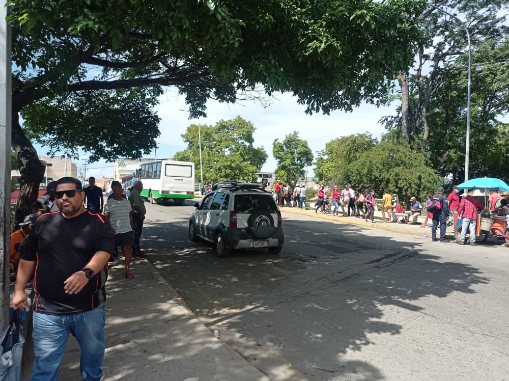 Cumaneses se mostraron a favor de las primarias opositoras para escoger un candidato presidencial