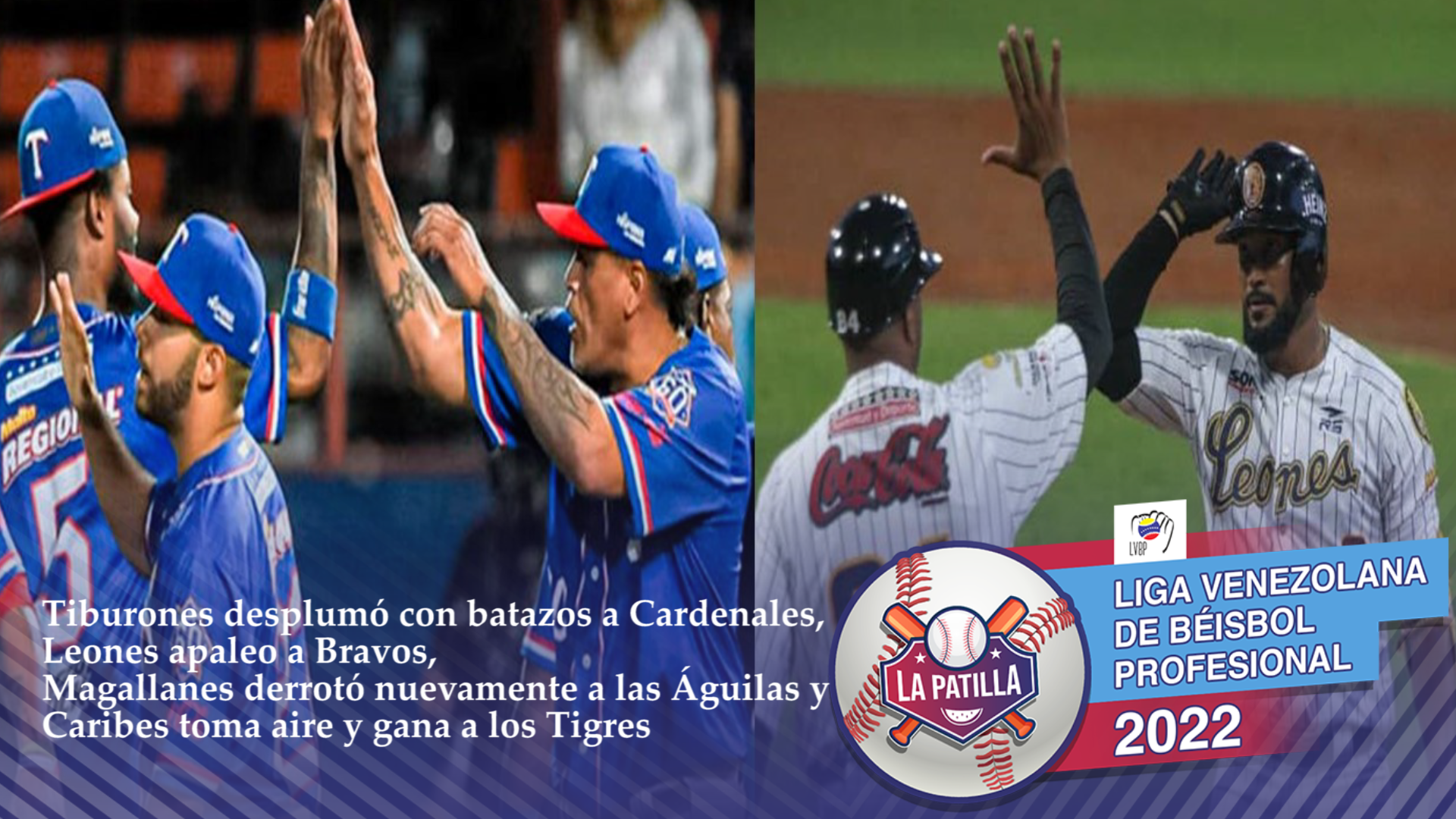 Tiburones desplumó con batazos a Cardenales y Leones toma el primer lugar de la Tabla: Resultados de este #4Dic