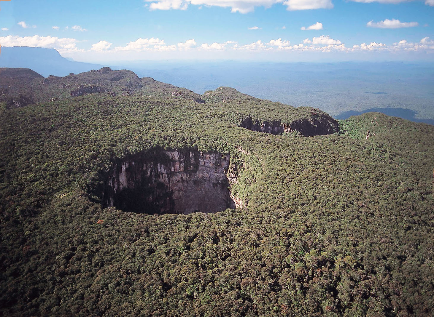 Tepuy Sarisariñama: En plena selva venezolana, enormes abismos esconden misterios inimaginables (FOTOS)